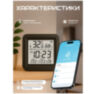 Датчик температуры и влажности WIFI S09 со встроенной сиреной, площадь детекции 20кв.м, приложения Tuya, Smartlife