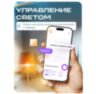 Выключатель света WIFI WF-E1 с Алисой, одноклавишный сенсорный, золотой, совместим с Tuya